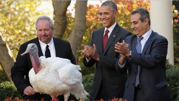 Obama indultou hoje o peru "Totus". (Foto: Casa Branca)